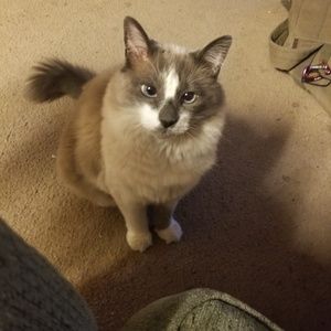 Meet your Posher, Crystal